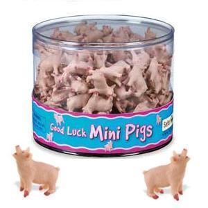 Safari Good Luck Minis - Schweinchen - Glücksminis